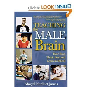 La Enseñanza del Cerebro Masculino